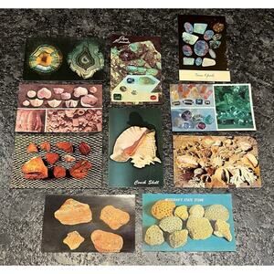 10 Vintage Postcards Rocks Shells Gems Fossils Agate